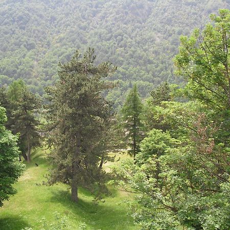 Chalet Monte Nebius Винадио Экстерьер фото