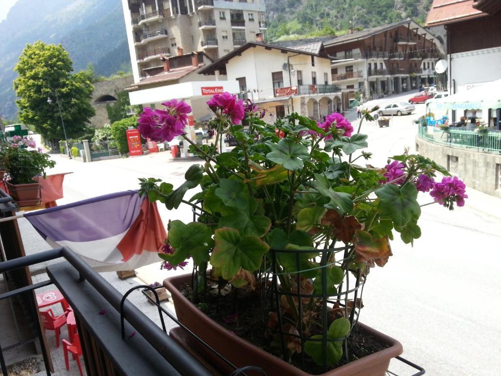 Chalet Monte Nebius Винадио Номер фото